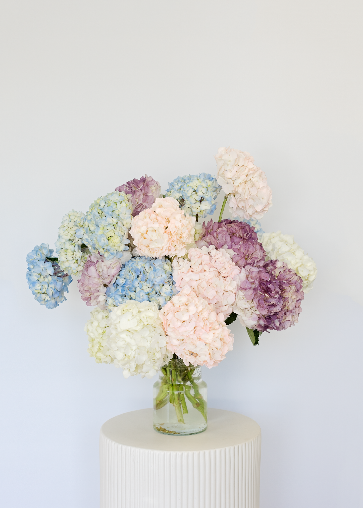 Hydrangea En Masse